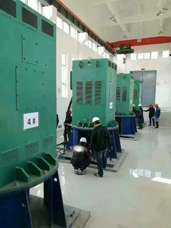 阜龙乡某污水处理厂使用我厂的立式高压电机安装现场安装尺寸