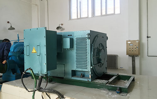阜龙乡某水电站工程主水泵使用我公司高压电机生产厂家
